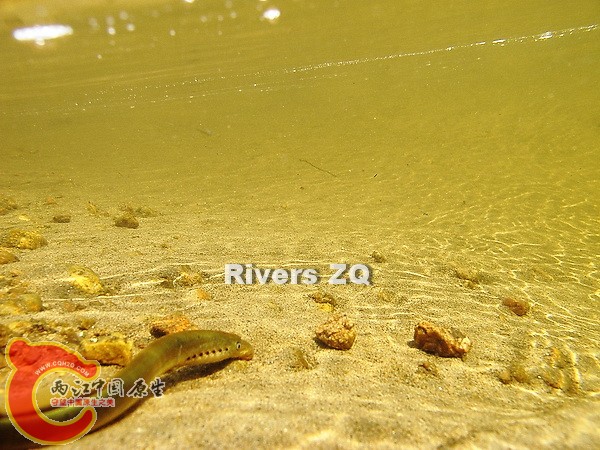 IMG_2759.JPG