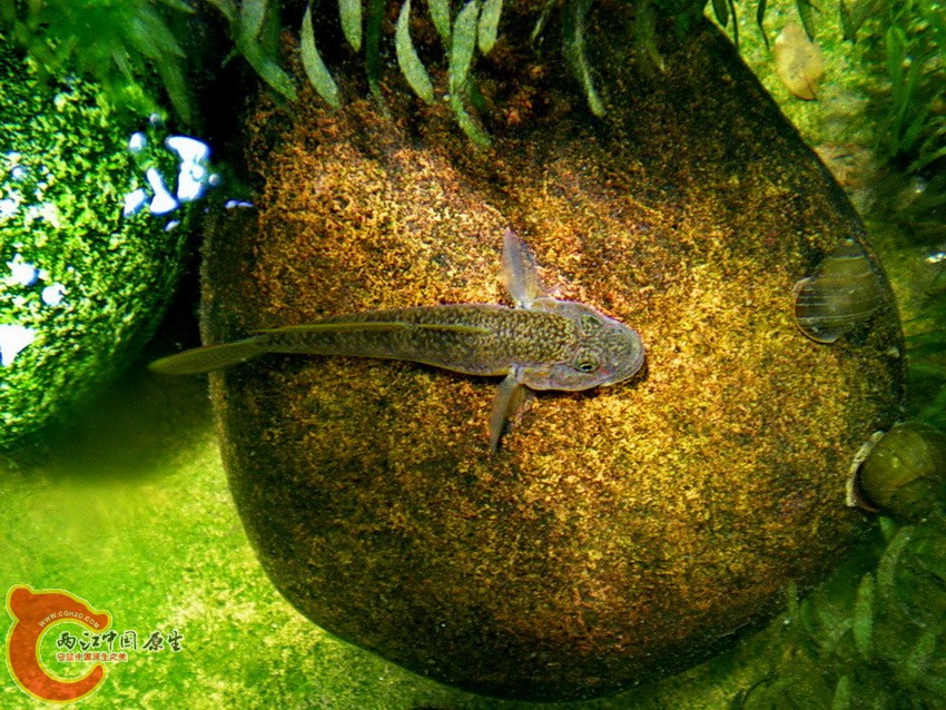 DSCN4513.JPG