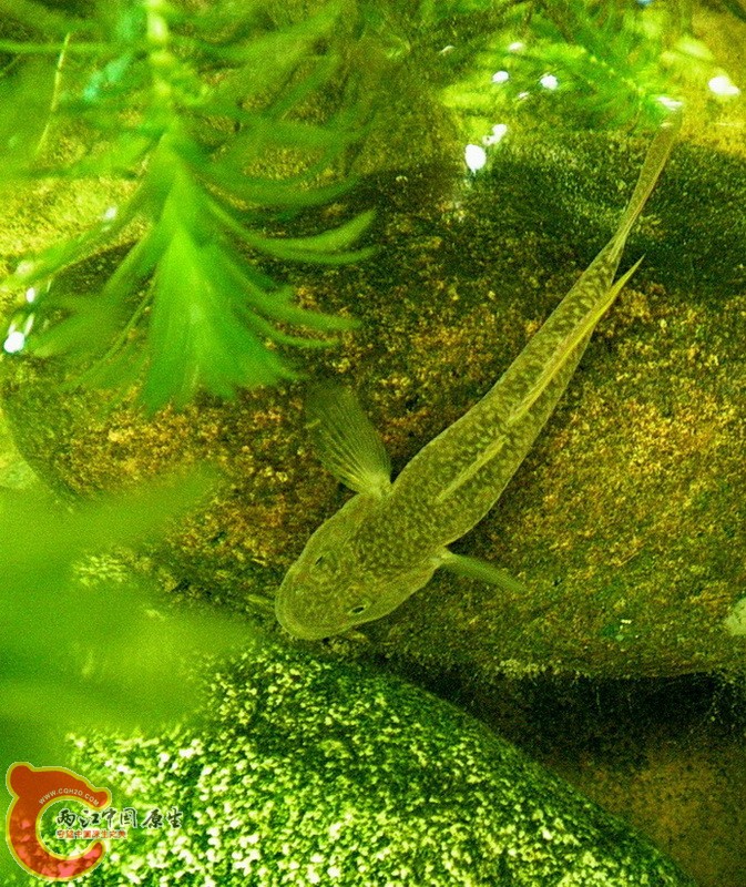 DSCN4521.JPG