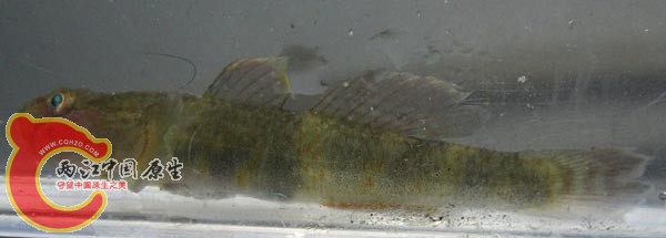 IMG_0307.JPG
