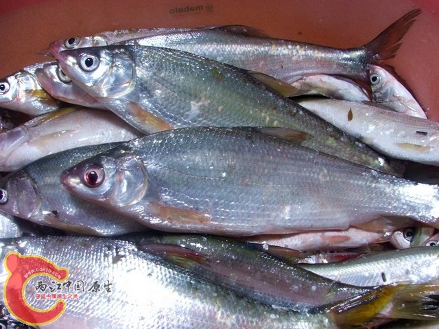 照片 003 副本.jpg