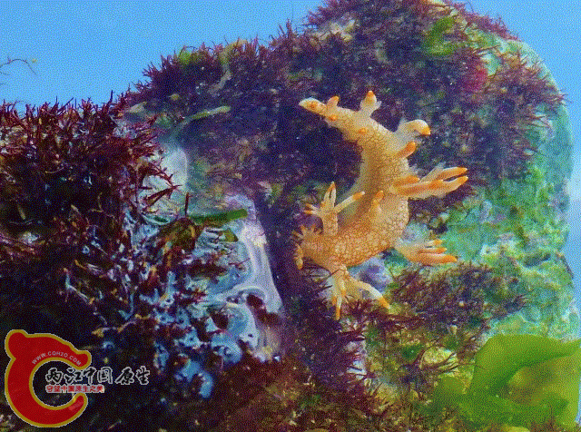 P1020521 (1024x761) (640x476) (3).gif