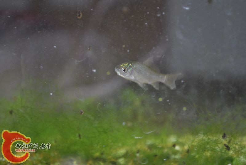 DSC_0403.jpg