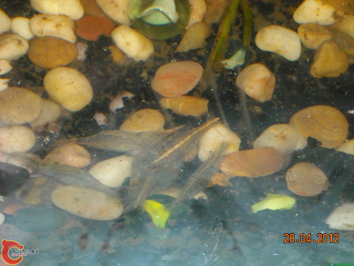 2012-025.jpg