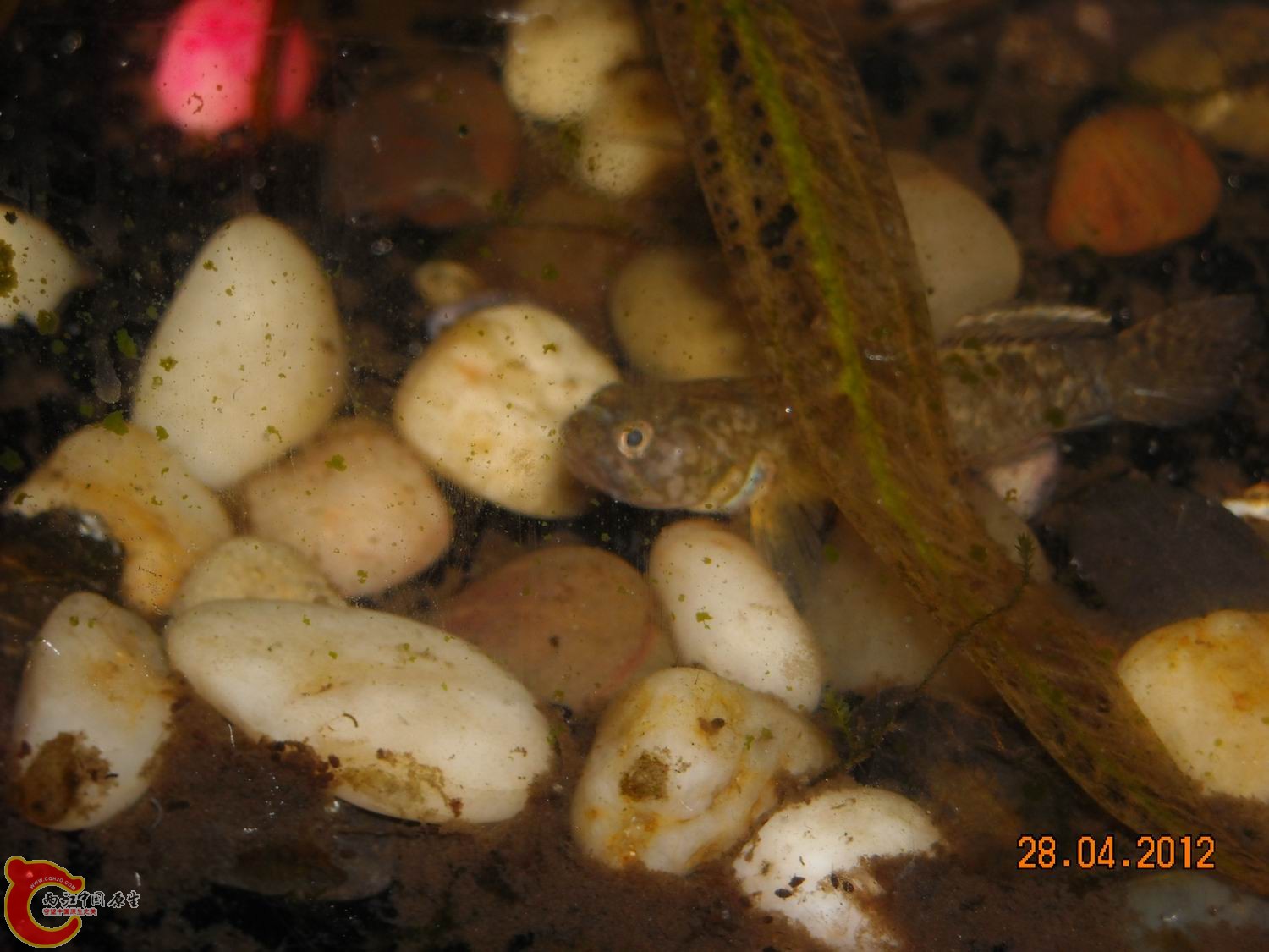 2012-027.jpg