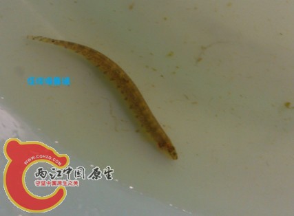 未命名2.jpg