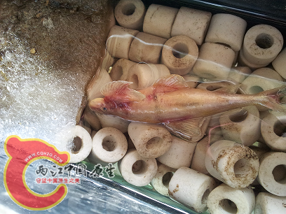 20120615_102036.png