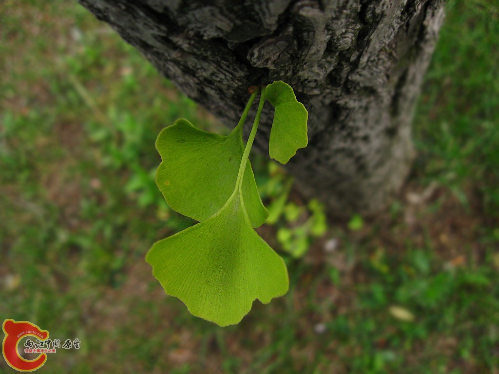 IMG_1293.jpg
