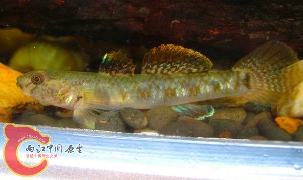 QQ截图20120622135905.jpg
