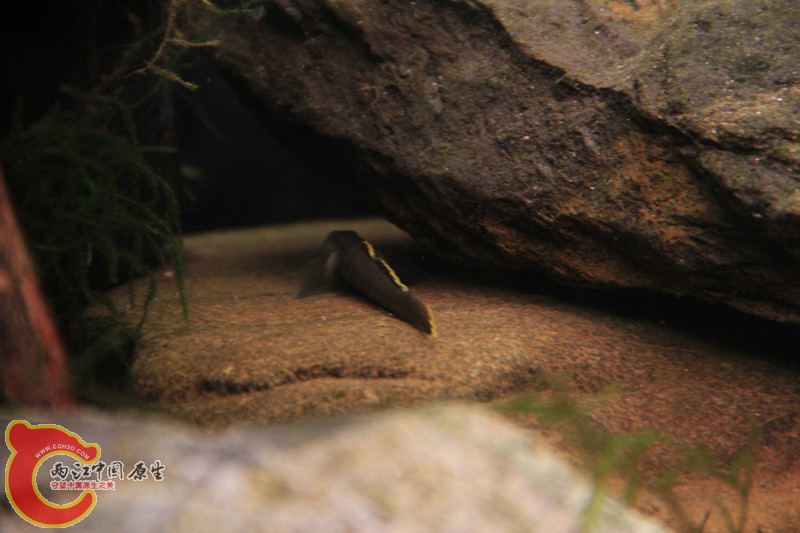 IMG_5143_副本.jpg