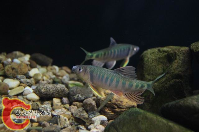 调整大小 IMG_8229.JPG