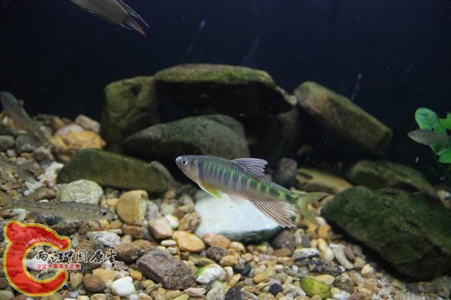 调整大小 IMG_8225.JPG