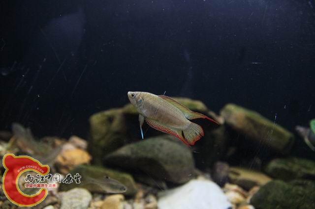 调整大小 IMG_8224.JPG