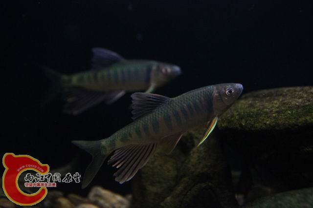 调整大小 IMG_8233.JPG