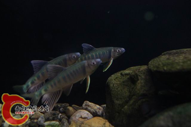 调整大小 IMG_8231.JPG