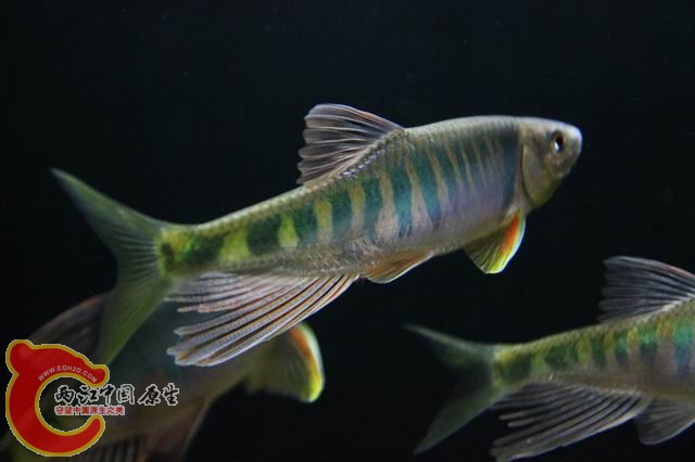 调整大小 IMG_8265.JPG