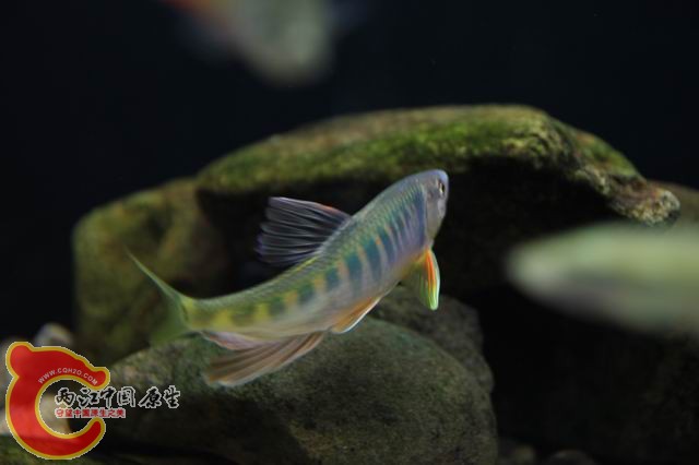 调整大小 IMG_8247.JPG