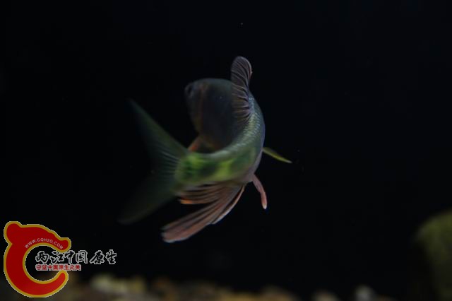 调整大小 IMG_8283.JPG