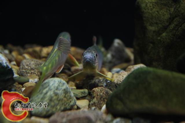 调整大小 IMG_8365.JPG