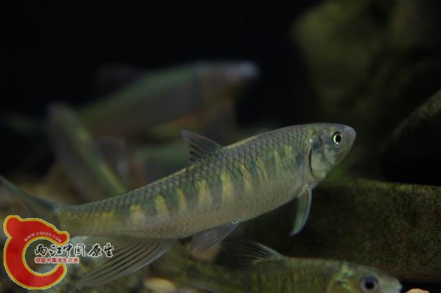 调整大小 IMG_8340.JPG