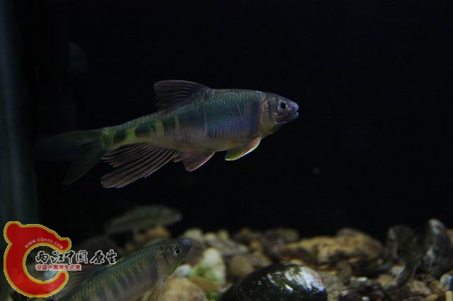 调整大小 IMG_8316.JPG