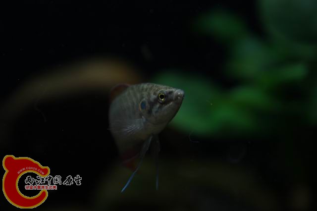 调整大小 IMG_8443.JPG