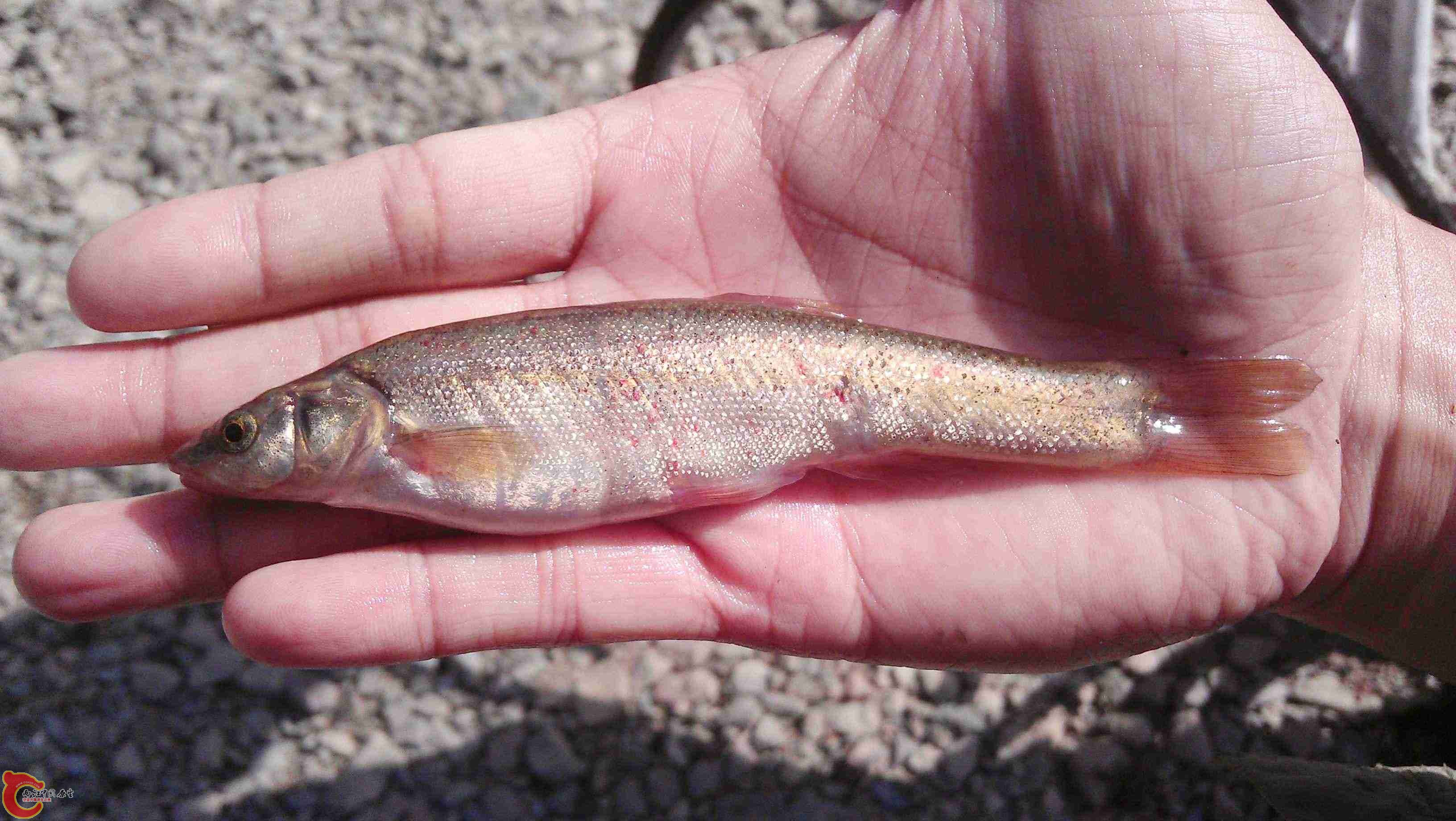 2011-09-15 15.41.01.jpg