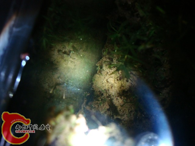 DSC07636.jpg