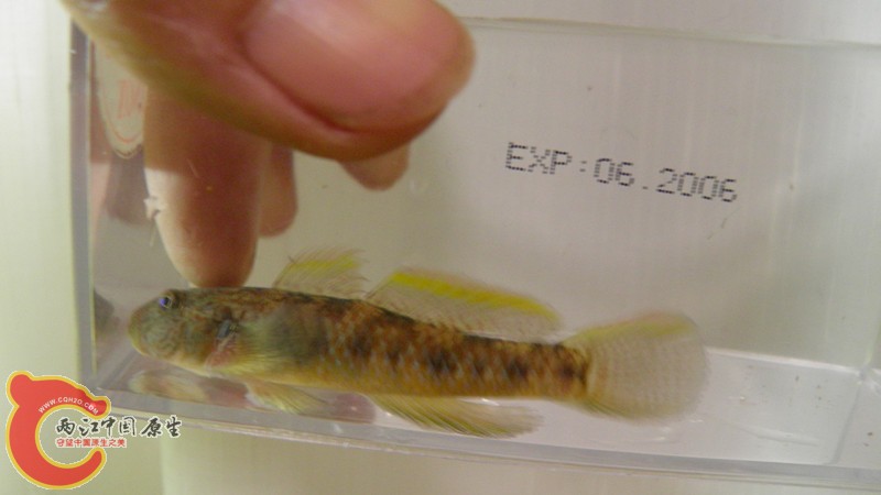 P7010746_副本.jpg