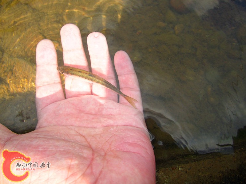 IMG_4892_副本.jpg