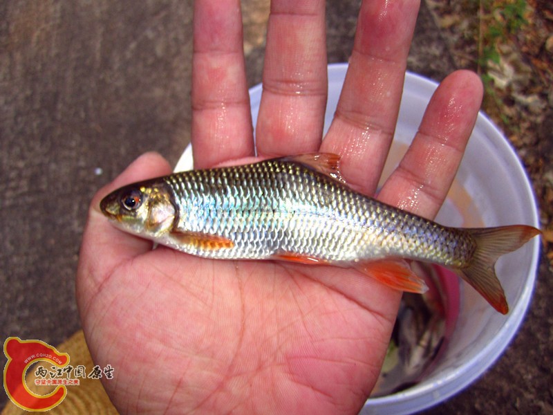 IMG_4894_副本.jpg