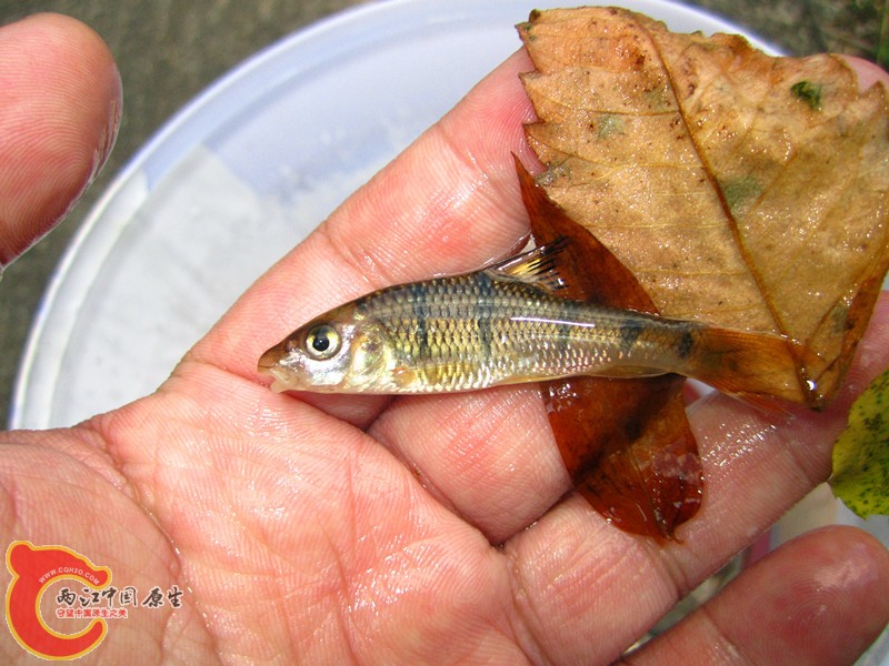IMG_4898_副本.jpg