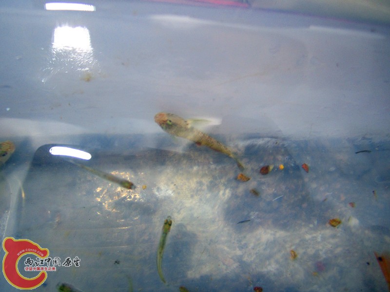 IMG_4907_副本.jpg
