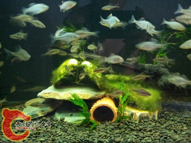 20120701_164848.jpg