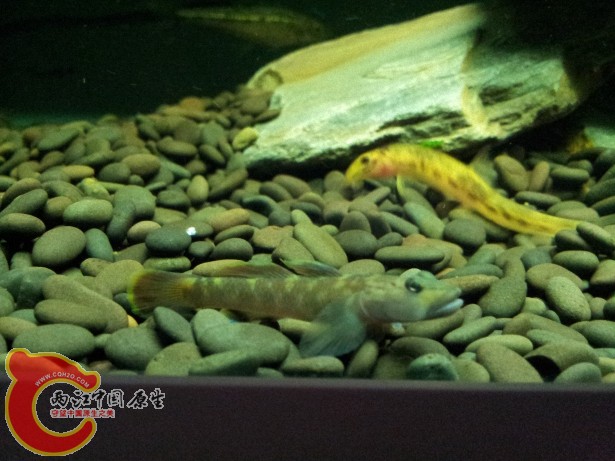 20120701_181709.jpg