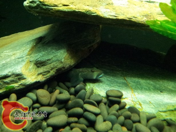 20120701_181552.jpg