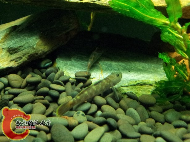 20120701_181717.jpg