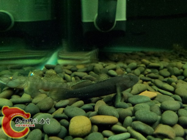 20120701_181910.jpg