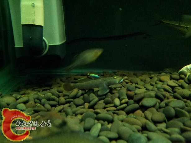 20120701_193622.jpg