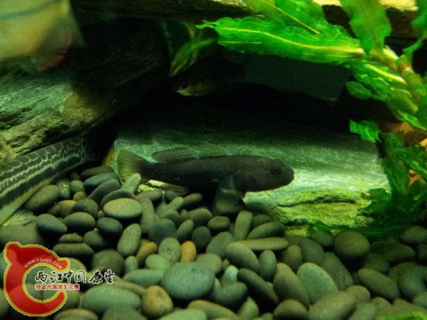 20120701_193859.jpg