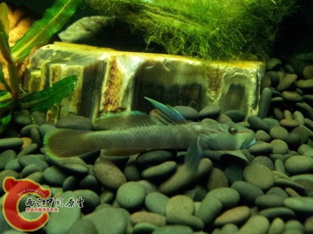 20120701_194047.jpg