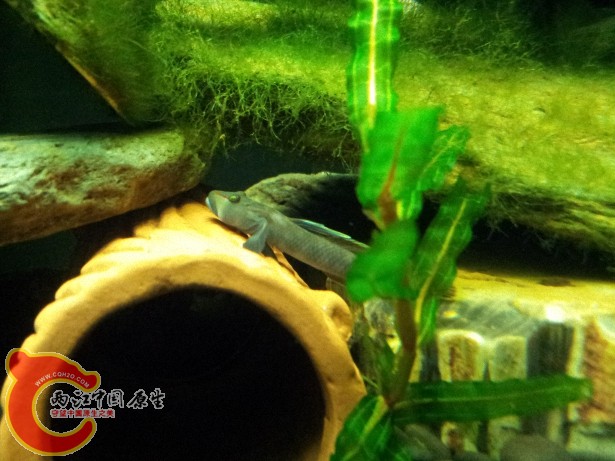 20120701_194123.jpg