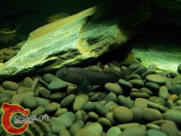 20120701_194223.jpg