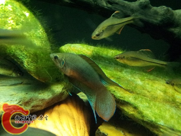20120701_222417.jpg