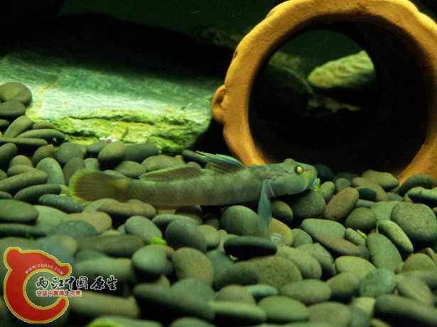 20120701_222655.jpg