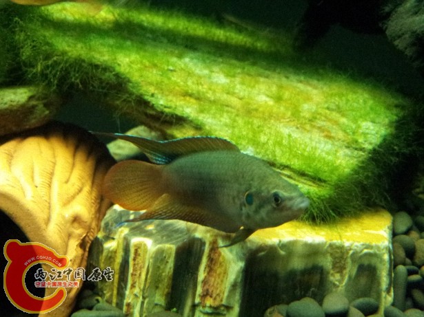 20120701_222801.jpg