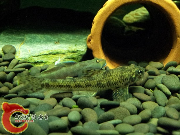 20120701_223014.jpg