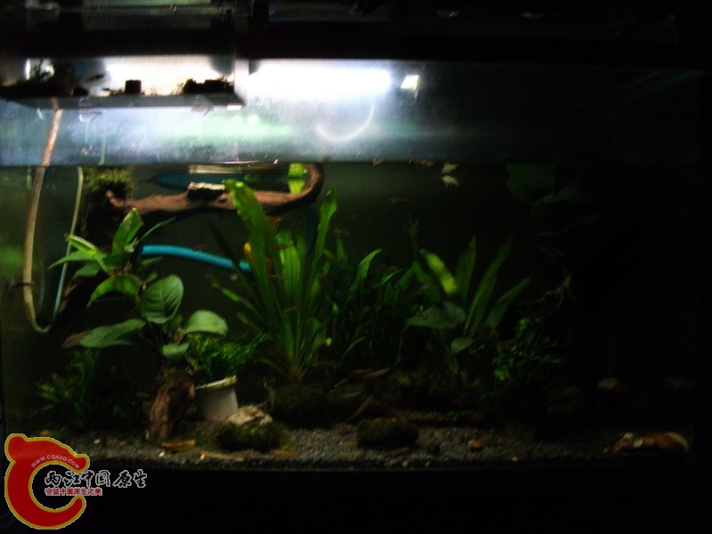 DSCF4028.JPG