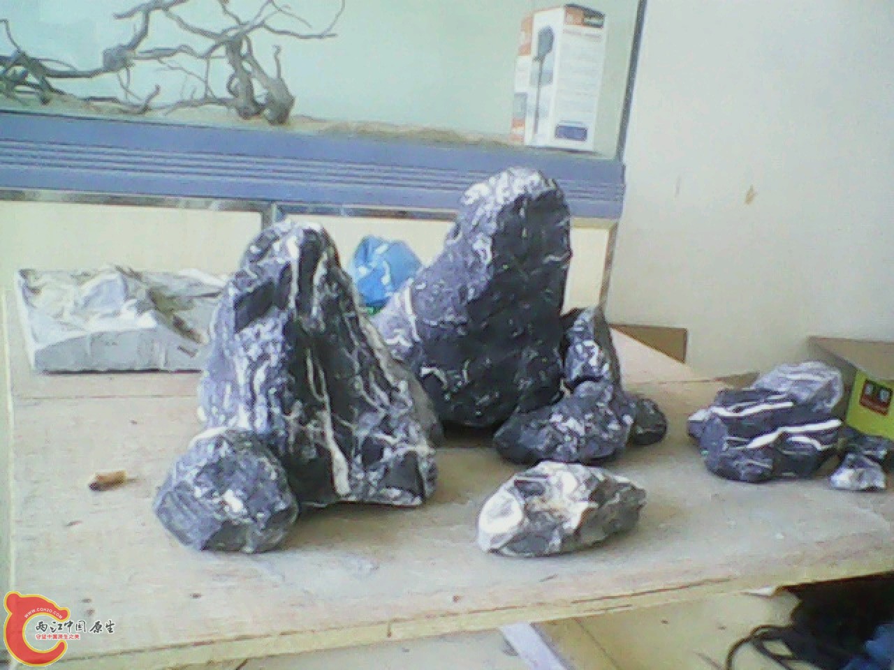 img0701_170420415.jpg