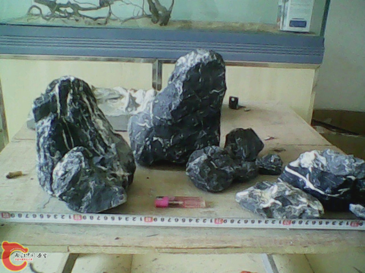 img0702_080706502.jpg
